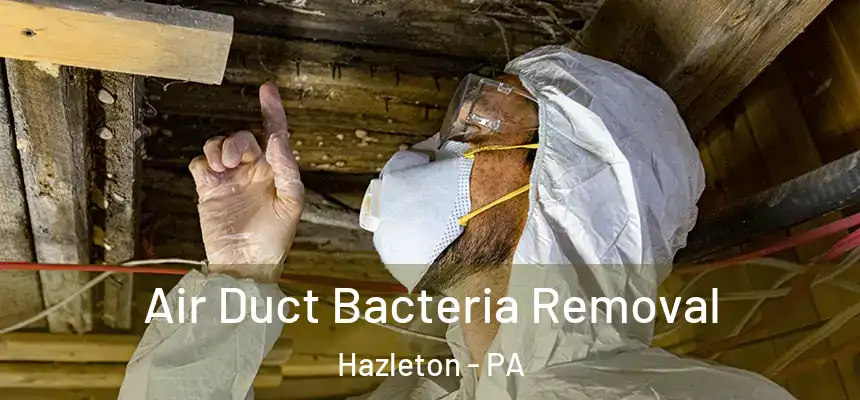  Air Duct Bacteria Removal Hazleton - PA