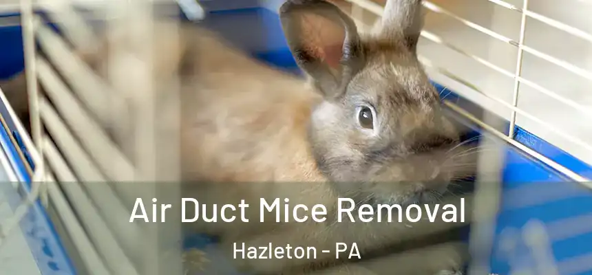  Air Duct Mice Removal Hazleton - PA