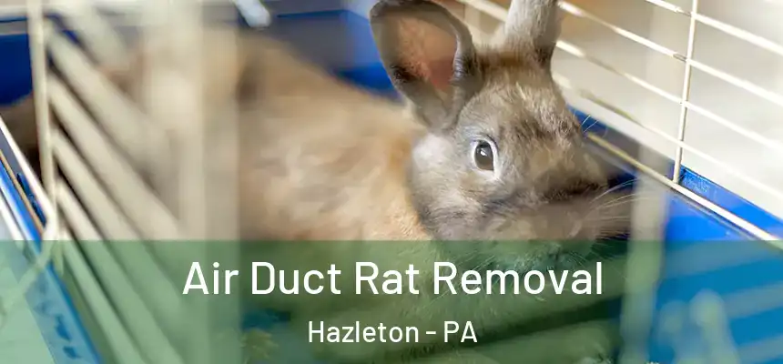  Air Duct Rat Removal Hazleton - PA