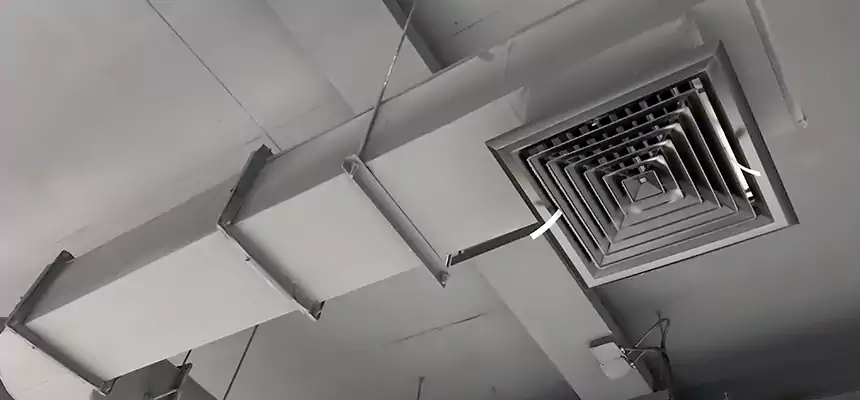 Our Pest Removal From Ducts Services in Hazleton, PA