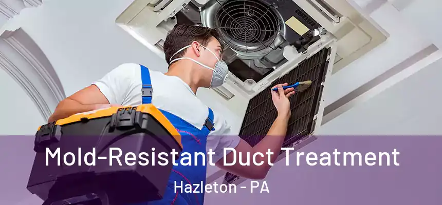  Mold-Resistant Duct Treatment Hazleton - PA