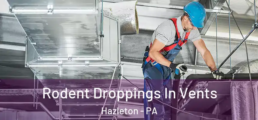  Rodent Droppings In Vents Hazleton - PA