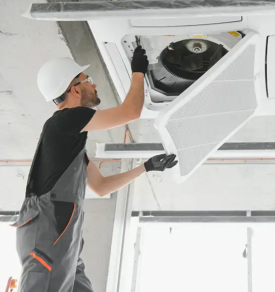 About Air Duct Rodent Removal in Hazleton, PA