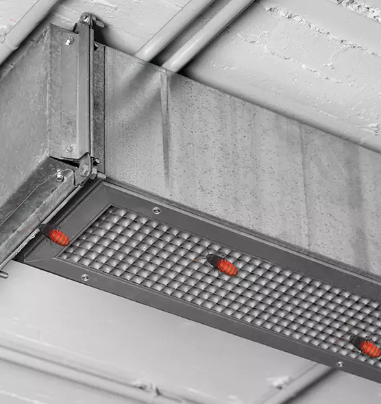 Affordable Insect Removal from Air Ducts in Hazleton, PA