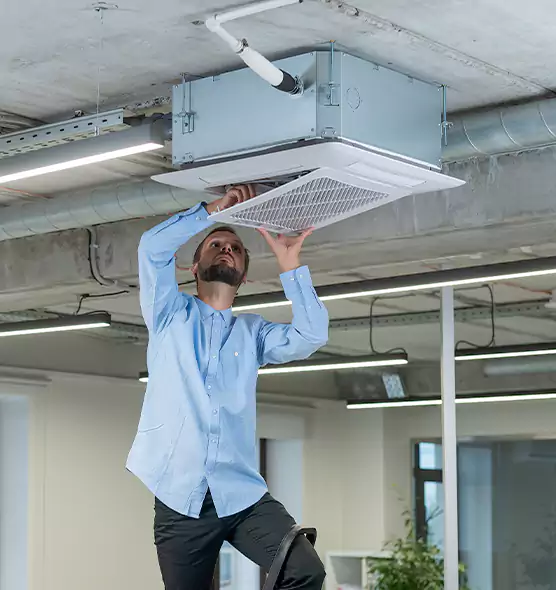 Advanced Rodent Droppings In Vents in Hazleton, PA