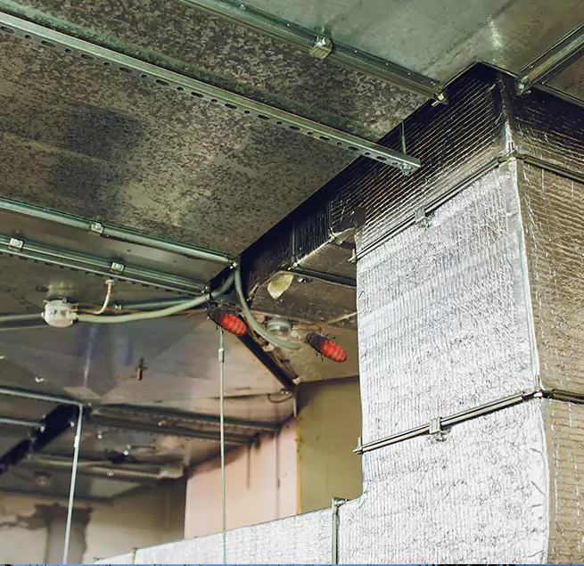 Why Homeowners & Businesses Trust Us in Hazleton, PA?