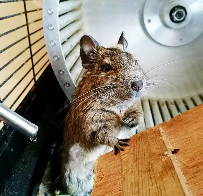 Why Homeowners & Businesses Trust Us Hazleton, PA